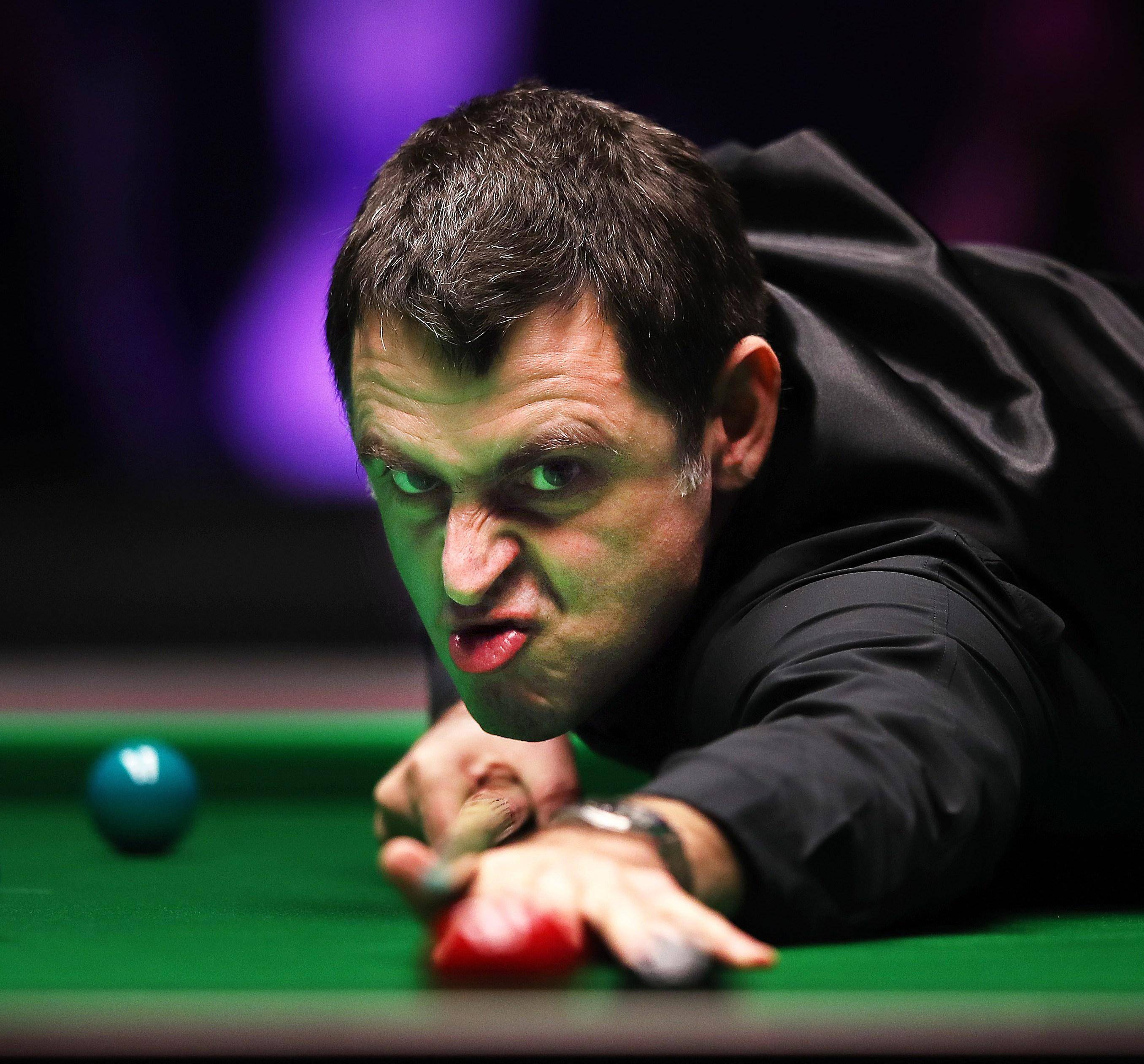 海豚队长名 海豚队长名